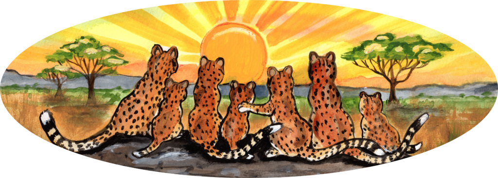 cheetah africa sunrise spot