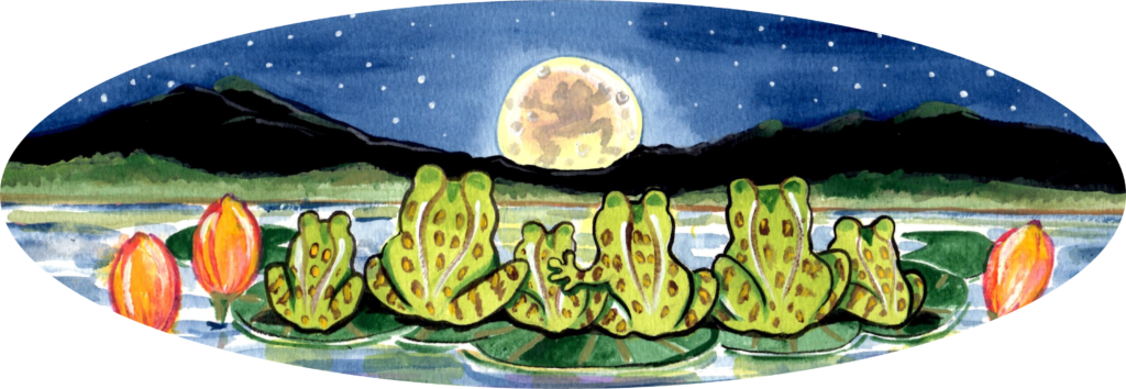 frog pond night moon lily pad