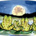 frog pond night moon lily pad
