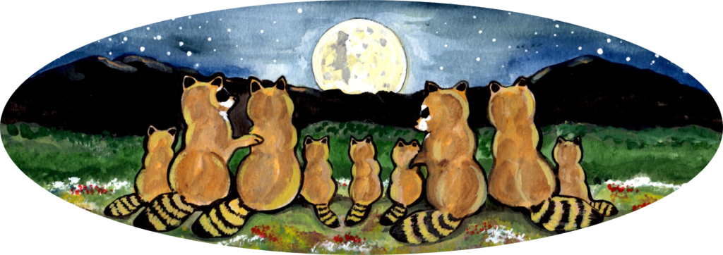 raccoon coon family night moon