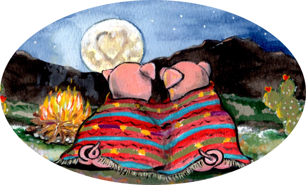 pigs romance blanket camping southwest